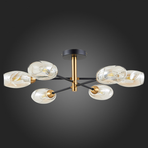 Люстра потолочная Evoluce Gloa SLE155502-06