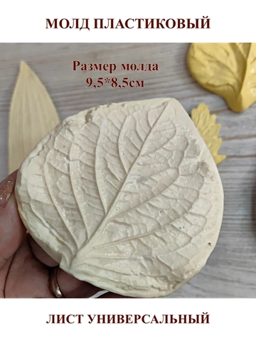 Молды 