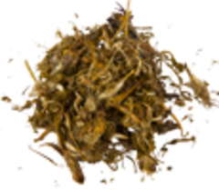 Прострел (трава)