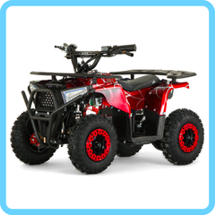 Детский электрический квадроцикл RiverToys MIKA 1000W