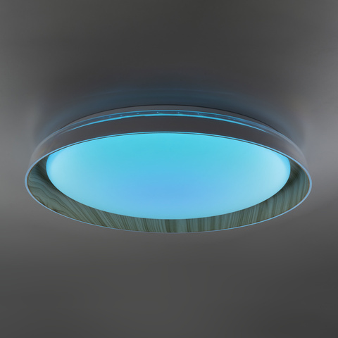 Потолочный светодиодный светильник Citilux MEGA CL752452G