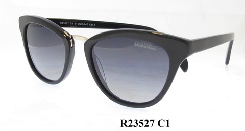 R23527