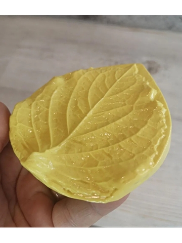 Молды 