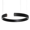Подвесной светильник Loft It Ring 10025/400 Black