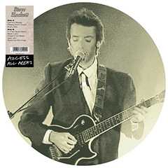 Steve Hackett / Access All Areas (Picture Disc)(LP)
