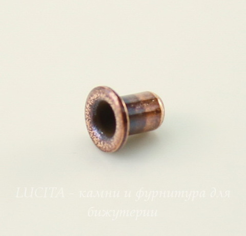 Заклепка с отверстием TierraCast 3,7х2,2 мм (цвет-античная медь), 5 штук