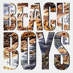 The Beach Boys / The Beach Boys (LP)