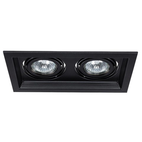 Светильник Arte Lamp Canis A6661PL-2BK