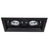 Светильник Arte Lamp Canis A6661PL-2BK