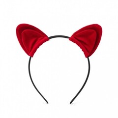 Ушки красные My rules