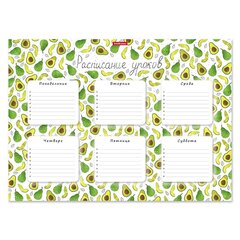 Расписание уроков А3 297 х 410 мм, Erich Krause, плотный мелованный картон, "Яркие дольки" (авокадо)