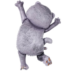 К Фигура, Басик Кот, 36