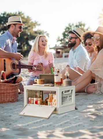 Картинка ящик складной Skully FCB-2-50 grey - 3