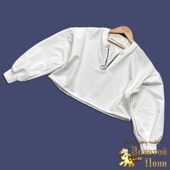 Свитшот трикотаж д (9-13) 260415-WD160