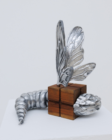 Wood Body Bug #10 из серии «Паранормальные явления» Wood Body Bug #10 из серии «Паранормальные явления»