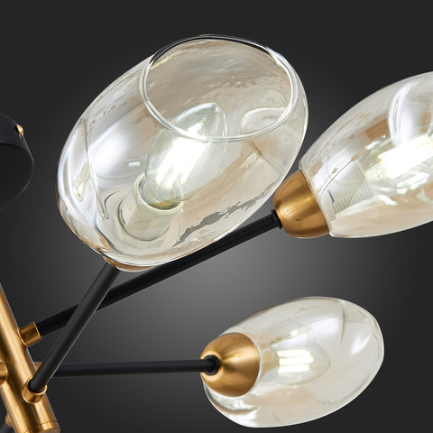 Люстра потолочная Evoluce Gloa SLE155502-06