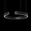 Подвесной светильник Loft It Ring 10025/400 Black
