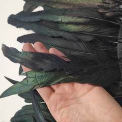 Тесьма  из перьев петуха h 25-30 см, черный