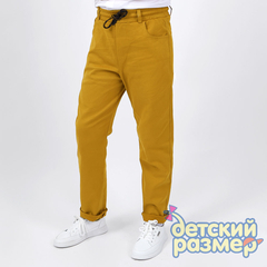 Брюки на резинке / 2109