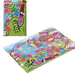 
          Игра-ходилка, Ракета "Ферма", 3 +, размер игрового поля 420 х 300 мм, в комплекте кубик, 4 фишки, пакет с европодвесом