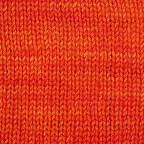 Symfonie Terra SS2024