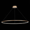 Светильник подвесной ST Luce ST603.243.57