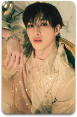 Карта / STRAY KIDS #3254