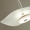 Подвесной светильник Odeon Light Exclusive Fluent 4856/13L