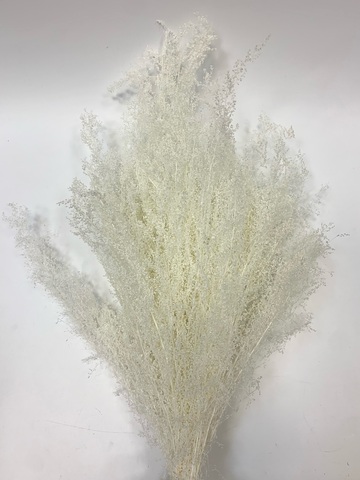 Штоб стаб. Айвори