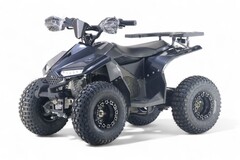 Детский электрический квадроцикл RiverToys LEON 1200W