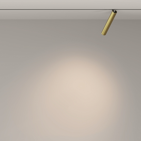 Магнитный трековый светильник Maytoni Focus T TR141-2-6W3K-M-BS