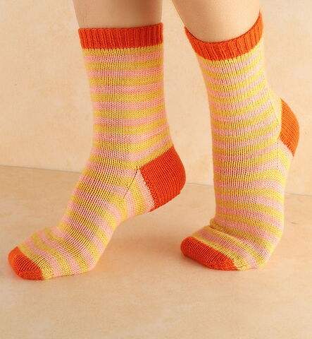 Symfonie Terra SS2024