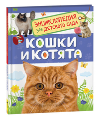 Кошки и котята