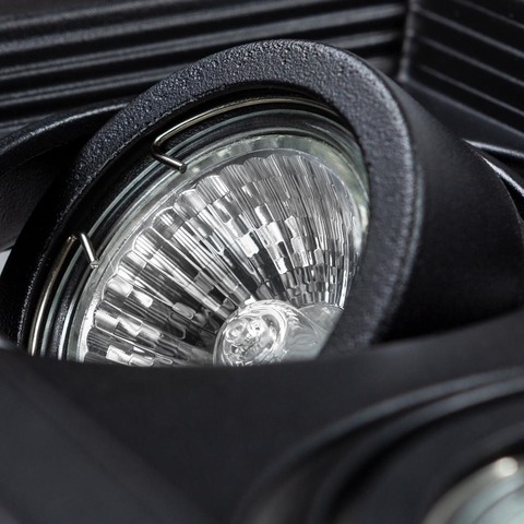 Светильник Arte Lamp Canis A6661PL-2BK