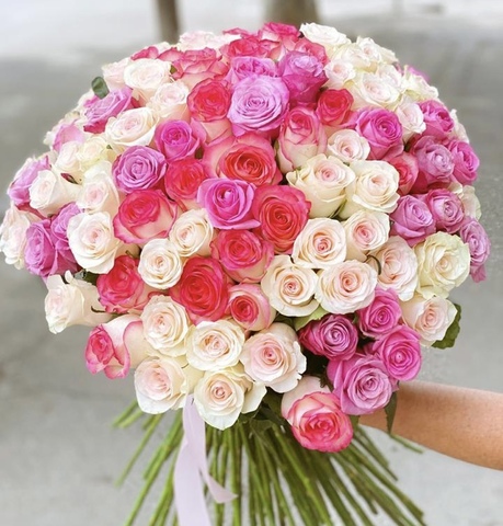 101 Mixed Roses