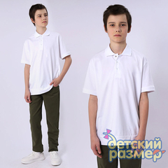 Рубашка-поло (батал) / 02803