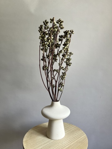 Зомби фрукт плоды