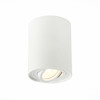 Светильник потолочный ST Luce ST108.517.01