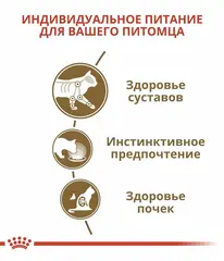 Royal Canin Ageing 12+ пауч для кошек, привередливых к вкусу 85 гр