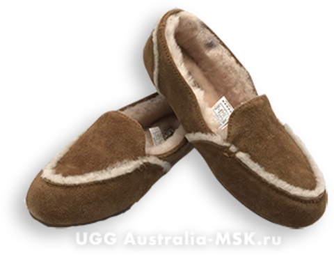 UGG Women Loafed Slippers Hailey Brown