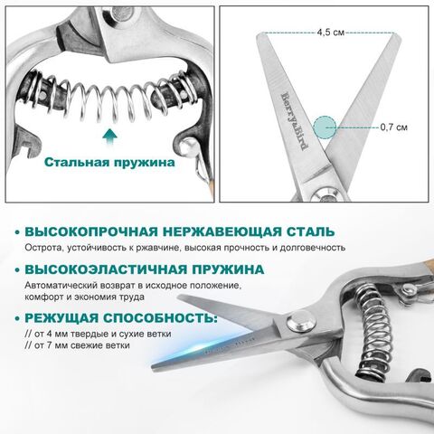 Секатор для обрезки с прямыми лезвиями и деревянной ручкой Berry&Bird