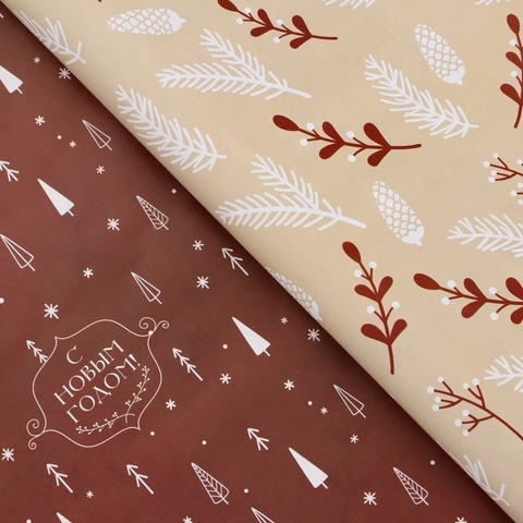 Упаковочная бумага глянцевая, «Изысканность», двухсторонняя, 0,5*0,7 м, 5 листов