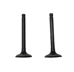 Клапаны (пара) LC165F-3H/500550092-0001