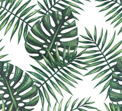 Пленка самоклеящаяся Монстера темно-зеленая 5824 450x7000 мм