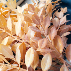 Листья рябины, искусственная зелень, цвет пастельный Оранжево-коричневый, букет 6 веток, набор 2 букета.