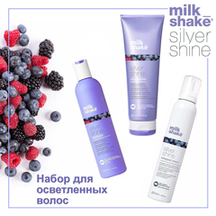 Набор косметики для осветлённых волос / Silver shine kit #5