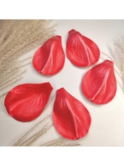 Молд+вайнер набор ВБ/С-52-70-72 для больших пионовидных роз