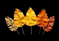 Силиконовый молд 