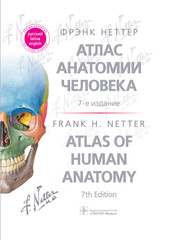 Атлас анатомии человека.  Терминология на русском, латинском и английском языках