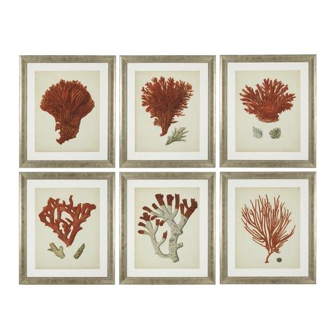 Постер Antique red corals (6 предметов)